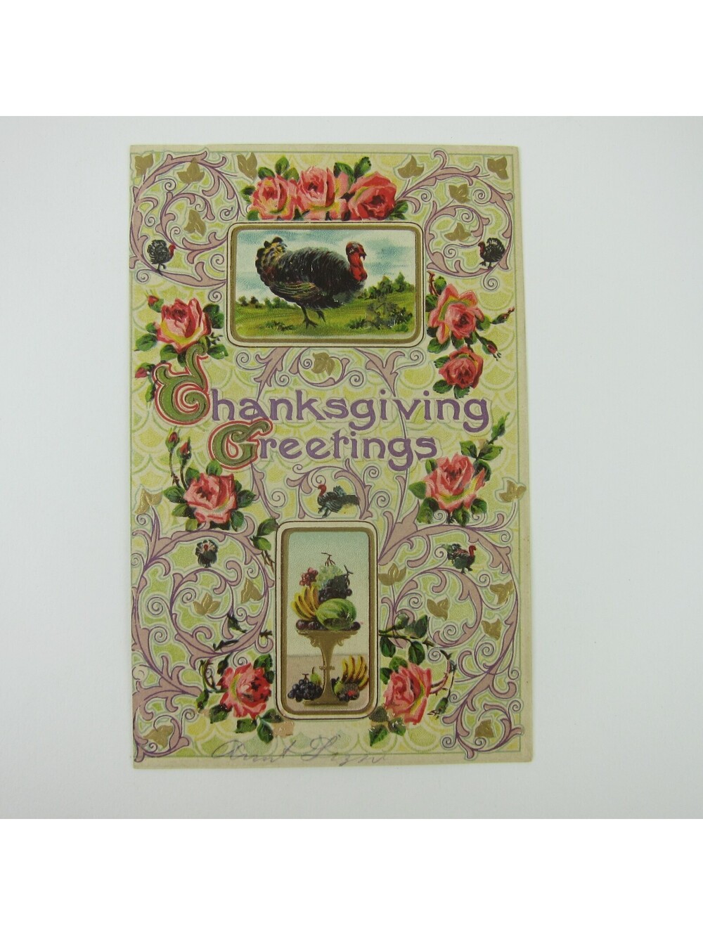 Thanksgiving Postcard Wild Turkey Roses Fruit Gold Embossed Antique